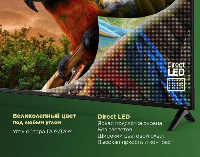 Телевизор MAUNFELD MLT24H01 12